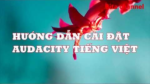 Hướng dẫn cài đặt Audacity tiếng Việt
