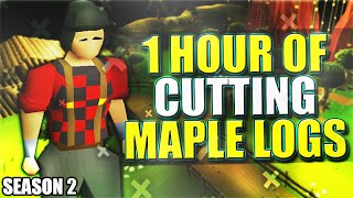 Cutting Maple logs | Testing OSRS Wiki Money Makers | Money Making Guide 2021