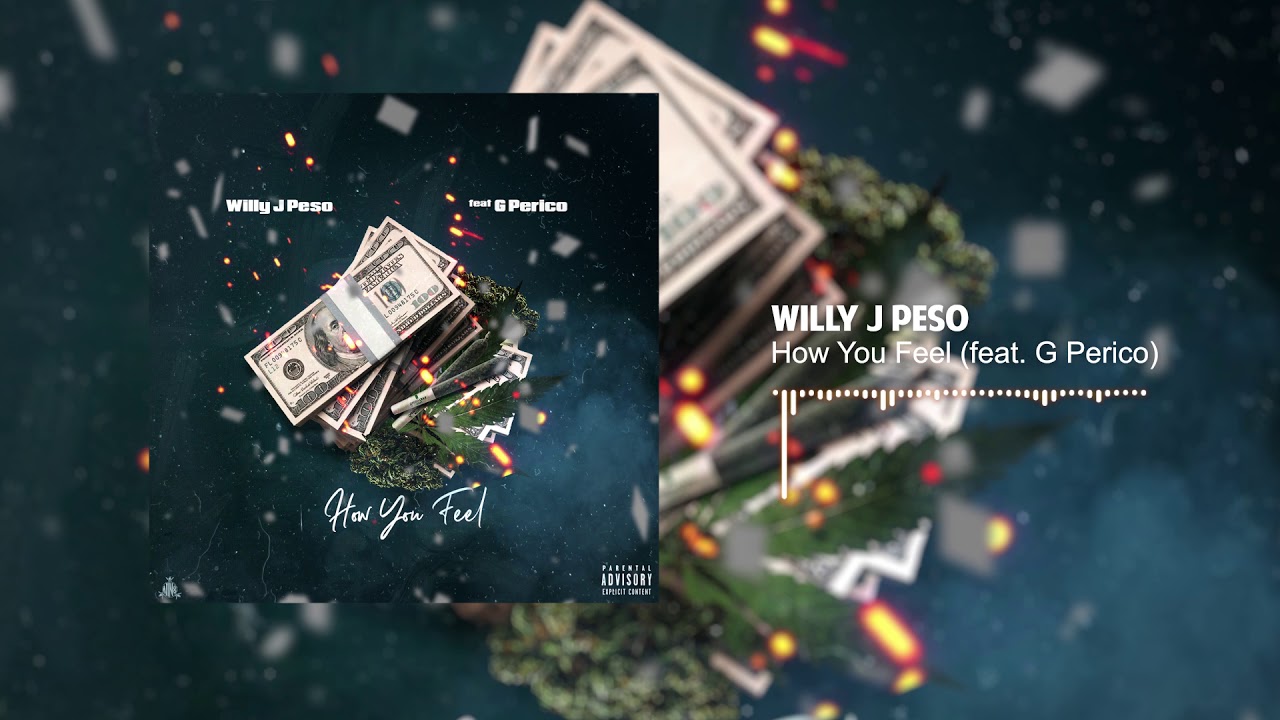 Willy J Peso - How You Feel (feat. G Perico)[Official Audio] legalize it hoodie