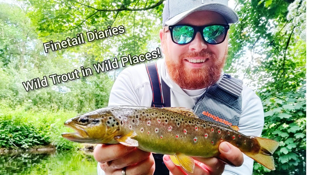 BFS Trout Lure Fishing UK Wild Trout on Lures! YouTube