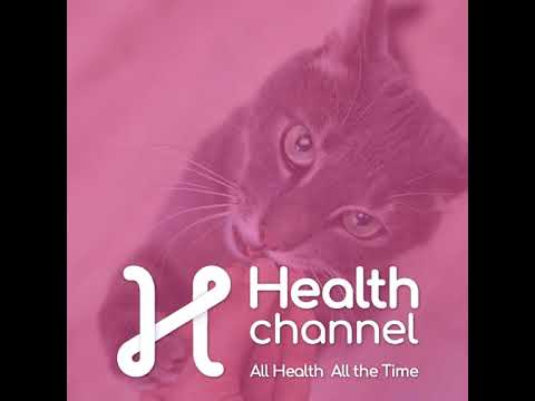 The Silent Disease in Dogs & Cats: Why Dental Care Matters |Ask The Doc