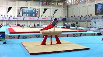 YOLSHINA-CASH Alexander (GBR) - 2023 Artistic Junior Worlds - Qualifications Pommel Horse