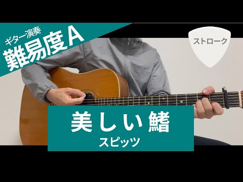 美しい鰭 / スピッツ（ストローク）