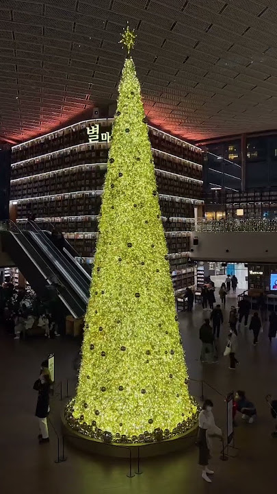 2022 Star garden  Library Christmas Tree - SEOUL