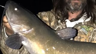 Live Cat Fishing- New PB Landed Let's Go !!!!