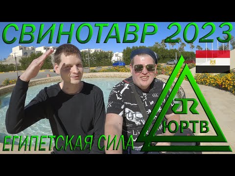 Январский отдых в Египте всё включено 5*. Отдыхаем и бухаем с братом в отеле детства. ЮРТВ 2023 #554