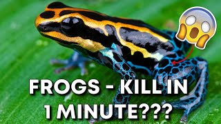 Poison Dart Frogs - Colorful and Deadly🐸 Interesting facts about animals