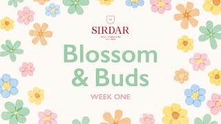 Sirdar Blossom & Buds Crochet Along: Week 1  First Buds