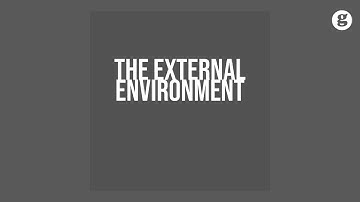 The External Environment