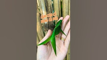 Xếp con cá bằng lá dừa #shorts #fish #cavang #craft #caocaoladua #youtubeshorts