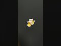 اغنيه صبلي هل كاس