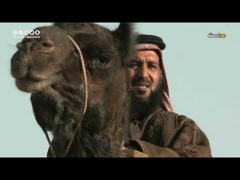 مسلسل قبل الهاوية بعد صلاة المغرب من المسجد النبوي على قناة ماسة