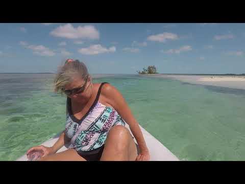 ⁣Dingy ride to Bimini sandbar