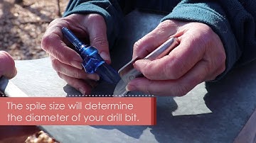 From Sap to Syrup | Shaw Nature Reserve