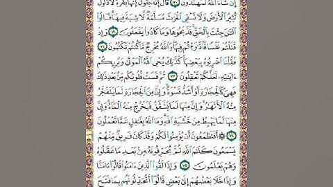 سورة البقرة ص11/الطنيجي