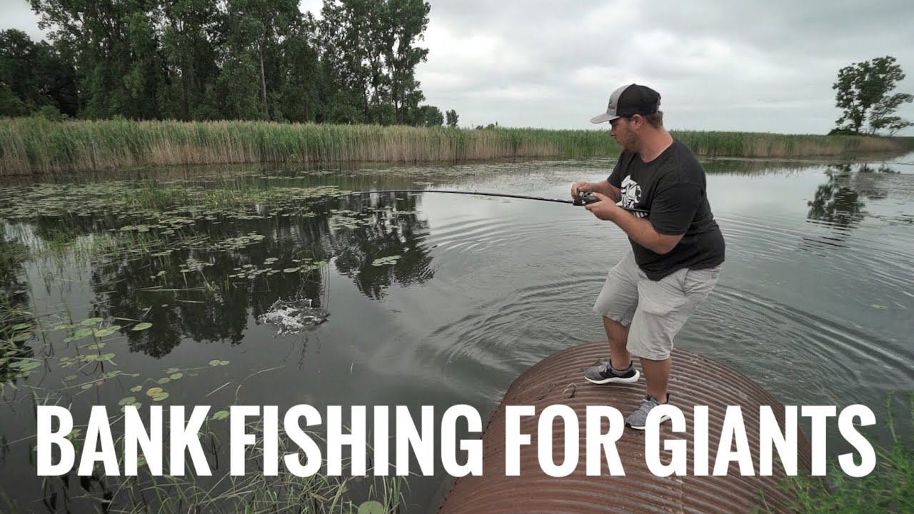 Bank Fishing for GIANTS! - YouTube