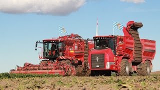 Holmer Terra Dos holt Weltrekord in der Rübenernte [Der Film]