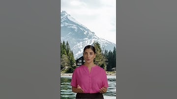 This ChatGPT Prompt Could Change the Way You Trade Stocks