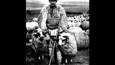 Who are the Vlachs? (Vlahi Wallahiens Wolosi)