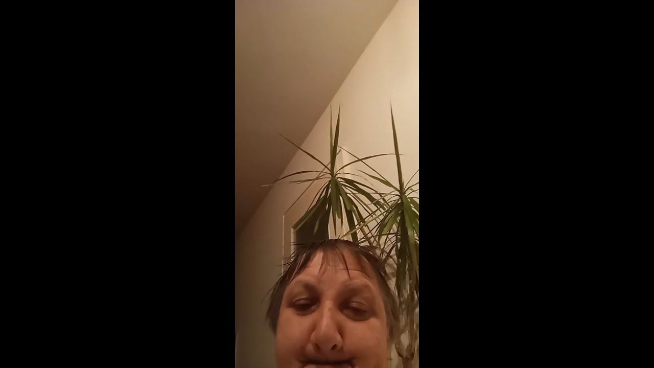 Chanti am Rande der Verzweiflung - Dextro Rückfall? - Chanti Stream Highlights