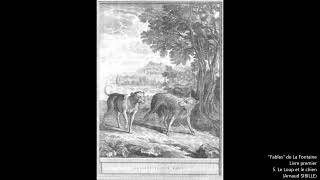 "Fables" de la Fontaine : 5. Le Loup et le chien