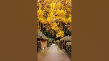 قالا ربنا إننا نخاف أن يفرط علينا أو أن يطغى#سورة طه #القرآن الكريم#جوهرة القرآن