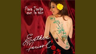 Video thumbnail of "Esther Marisol - Moto Mendez"