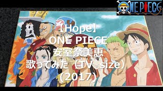 Hope/安室奈美恵】ワンピース/歌ってみた（TVサイズ）（2017） - YouTube