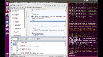 Dontbug Debugger Demo