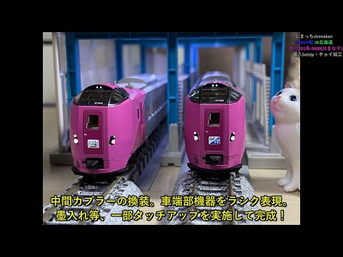 加工 TOMIX HOゲージ キハ261系5000番台 はまなす編成 5両セット 加工 TOMIX HOゲージ キハ261系5000番台 はまなす編成 5両セット