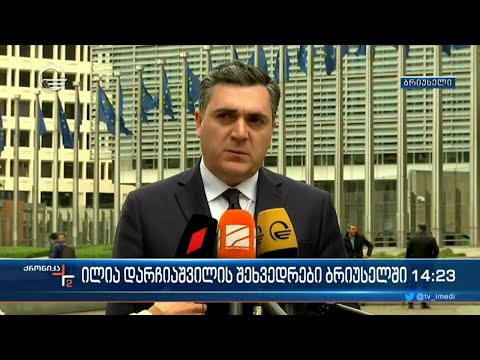 ილია დარჩიაშვილის შეხვედრები ბრიუსელში