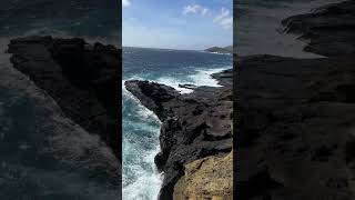 Halona Blowhole Lookout 🌺#Hawaii #Oahu #travel #aloha #vibes #couplesgoals #vacation #beauty #ocean