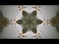 John Butler - Pray for My People (Official Visualiser)