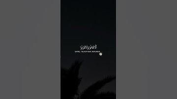 Surah Fussilat 30 سورة فصلت @NoCreditQuranOverlay #qurancadence