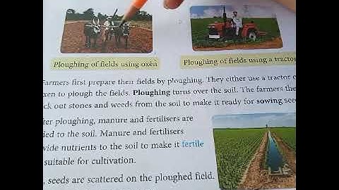 class 4 Lesson 3 part 1 (fields to kitchen)