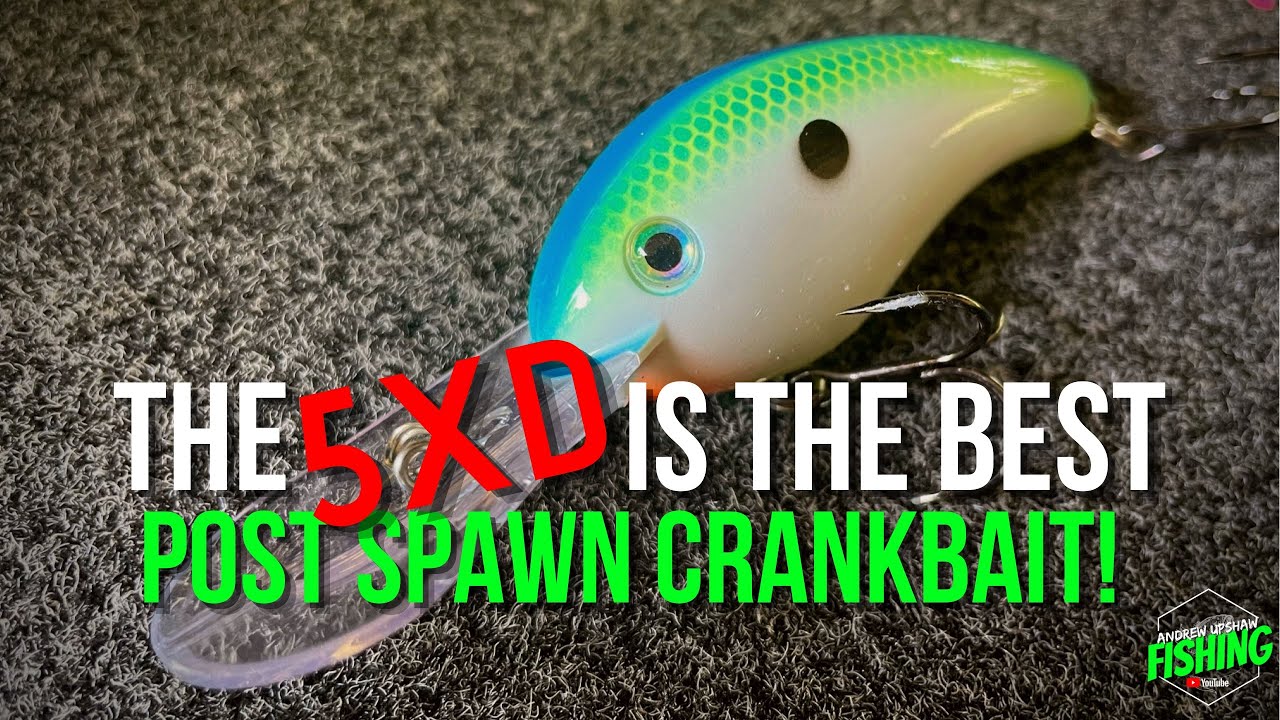 Why a 5XD is the Crankbait YOU Should Be Fishing Right NOW! (Bass Fishing)  (Ep. 117) 