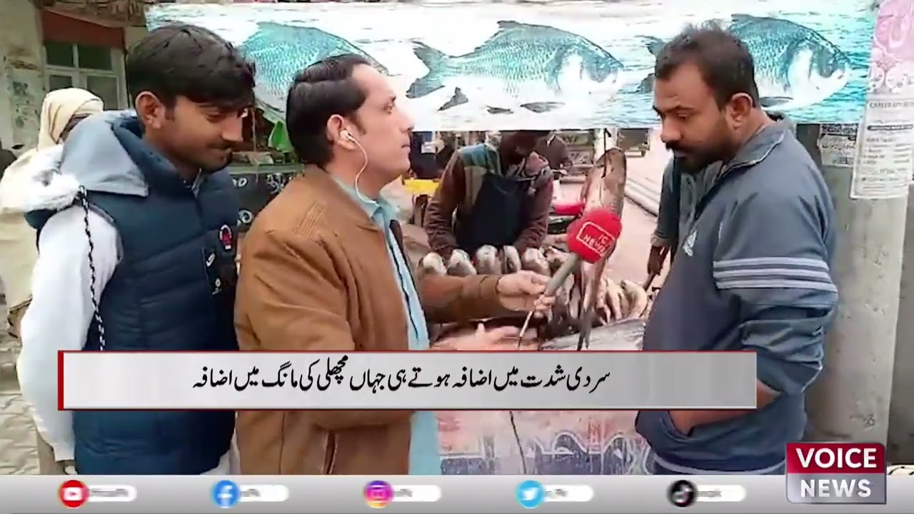 As The Cold Increases In Intensity, The Demand For Fish Has Increased | Voice News