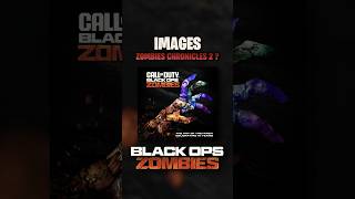 ZOMBIES CHRONICLES 2 EN IMAGE ?? (ARTBOOK OFFICIEL COD ZOMBIES) #gaming #info #callofduty #cod
