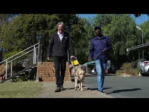 SA Guide-Dogs Association Dog Mobility