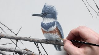 Kingfisher | Acrylic Painting screenshot 4