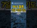 자녀 결혼을 위한 7일 기도 [2일차] 부모의 기도는 땅에 떨어지지 않습니다. #자녀 #부모기도#자녀결혼