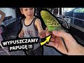 PAPUGA w przedsionku PRZYCZEPY KEMPINGOWEJ !!! - Czy Można ją POGŁASKAĆ ??? (Vlog #370)