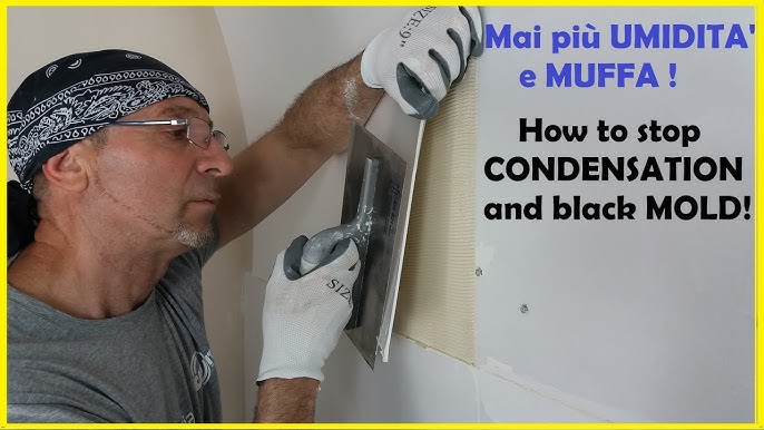 Come scegliere un deumidificatore se c'è un problema di muffa in casa? 