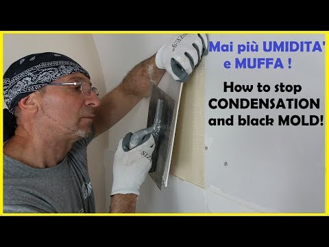 Come rimuovere L'UMIDITA' e la MUFFA per sempre -How to get rid of MOLD forever