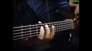 DOLA DOLA 🌹🥰💐🤩COVER BASS #juanjibam #bassist #doladola