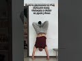 Отжимания в стойке на руках