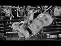 4 B Bucking Bulls Highlights