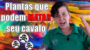 Qual capim pode matar cavalo?