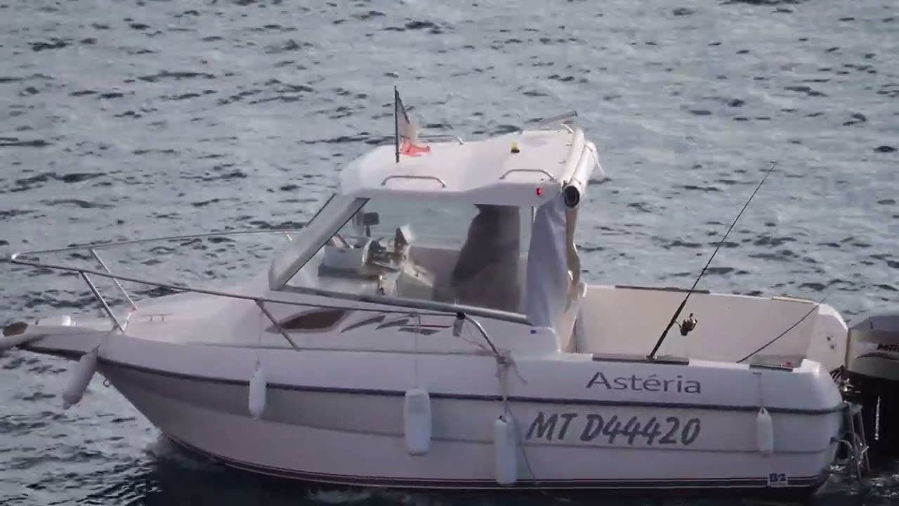Les mouettes, la mer depuis les falaises du Dramont