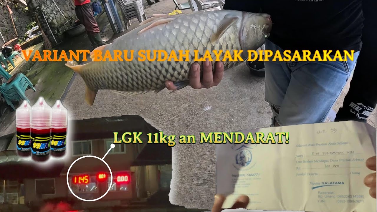 TES KE SEKIAN KALI VARIAN BARU DI LOMBA MANCING LEMBAH GUNUNG KUJANG SUBANG